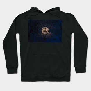 Full Moon Rising (1) Hoodie